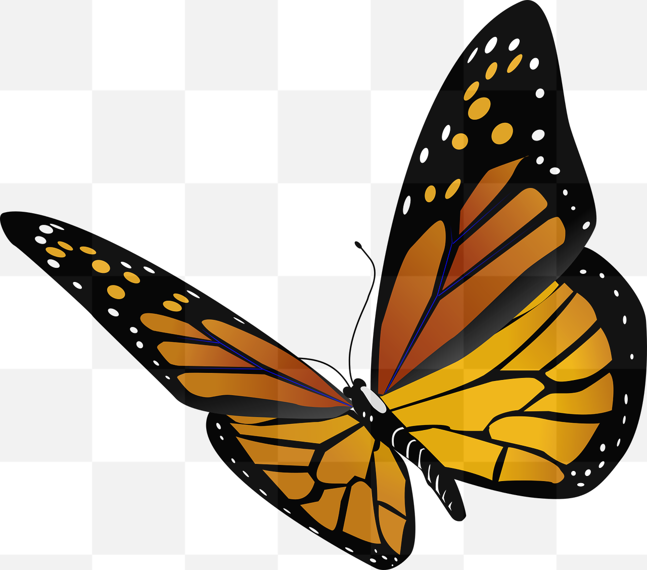 Vibrant and Versatile Collection of Free PNG Images for Graphic Design, Web Design, and More!