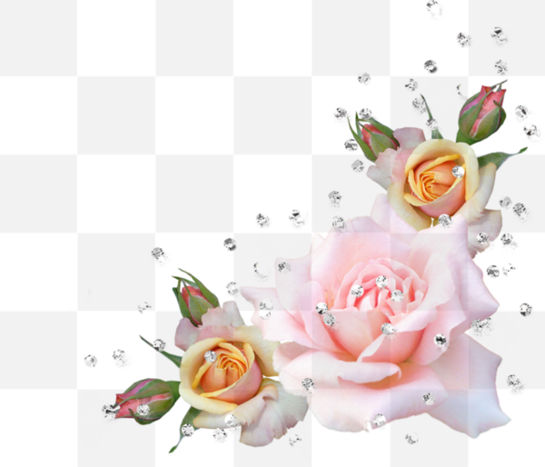 Wedding invitation. Your wedding day will come and go, but may your love forever grow. Flower, Rose, Pink. Happy wedding day. The best PNG. Flower...