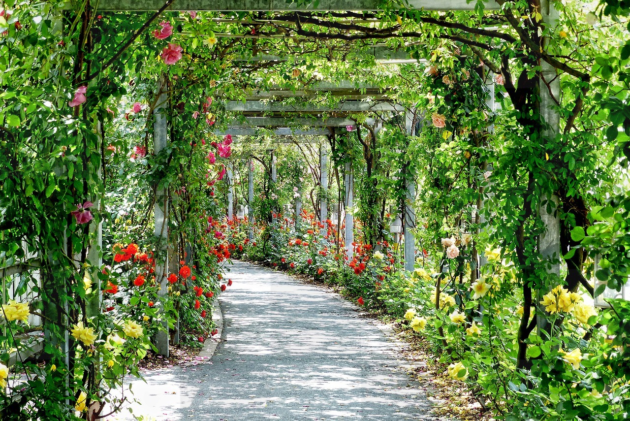 Beautiful Flower Arches for Free Download - Stunning Backgrounds in JPG Format for Graphic Design and More!
