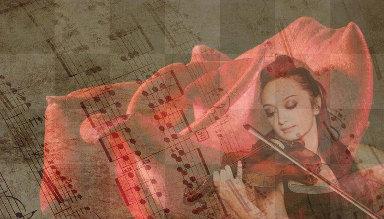 Beautiful Rose and Music Backgrounds - Free Download for Graphics and Web Design
