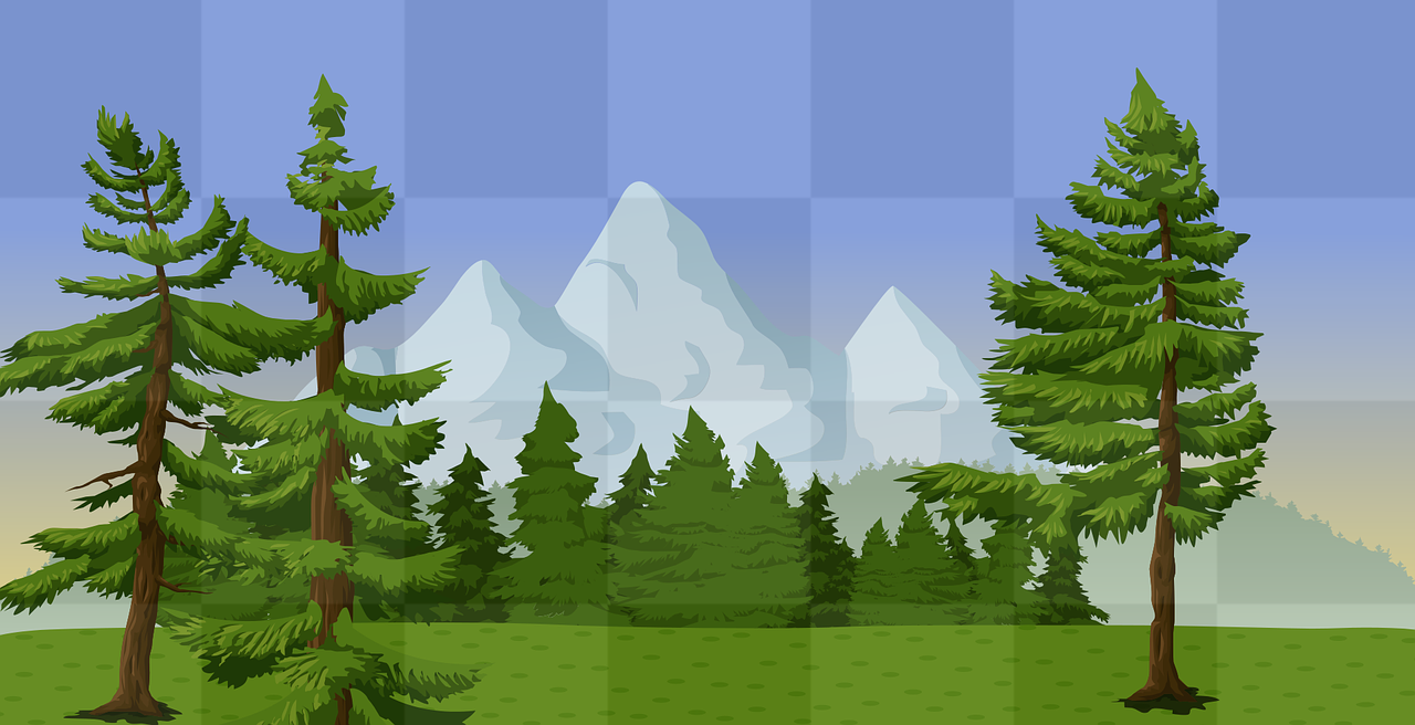 Discover the Beauty of Evergreen Forest Landscapes: Free Downloadable PNG Images for Graphic Design and Web Design