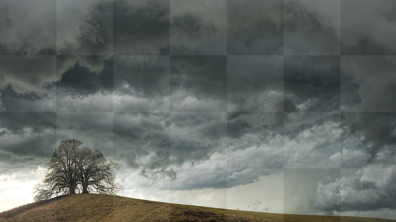 Download Free 4K Tree and Hill Wallpapers: Popular and Stunning Backgrounds
