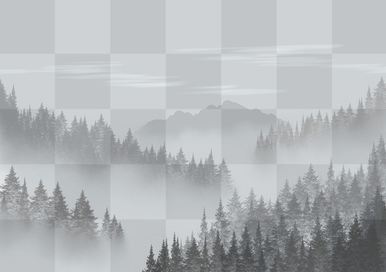 Download Free Black and White Forest, Fog, and Mountain Background Images in JPG Format for Graphic Design and Social Media Styling