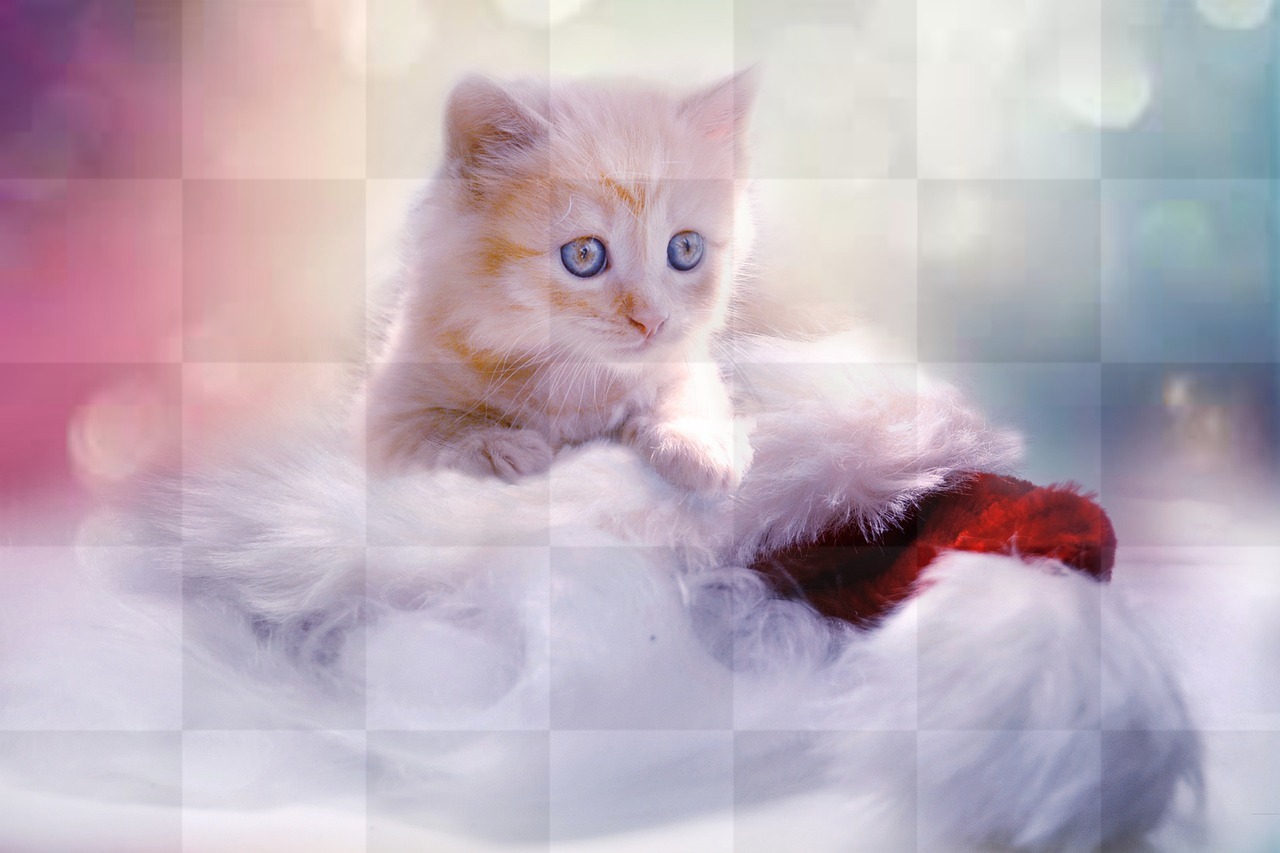 Download Free Kitten and Heart Xmas Gray Background Images in JPG Format for Graphic Design and Web Styling