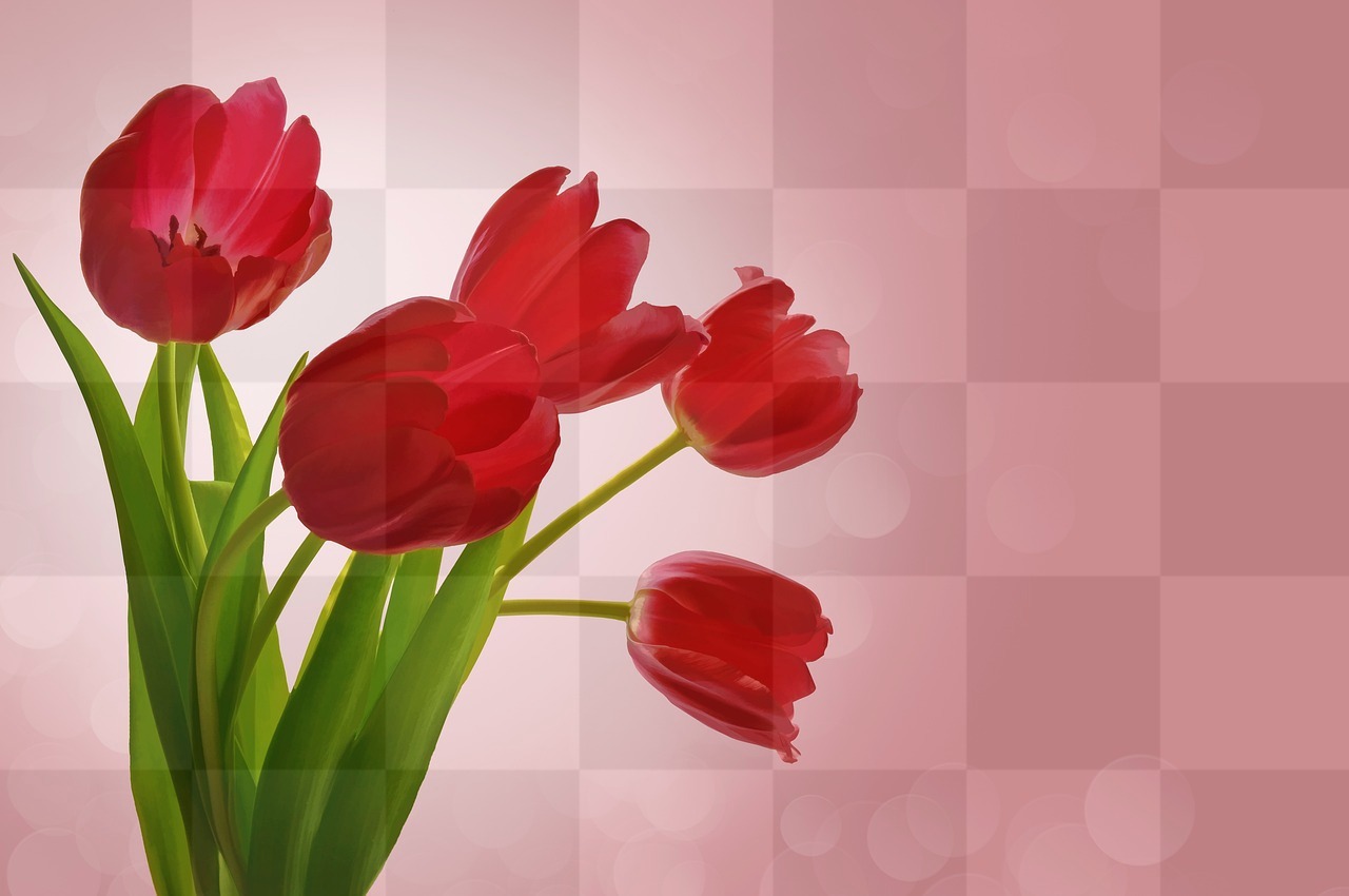 Download Free Pink Background Images with Tulips and Flowers for Valentine's Day Graphics and Designs