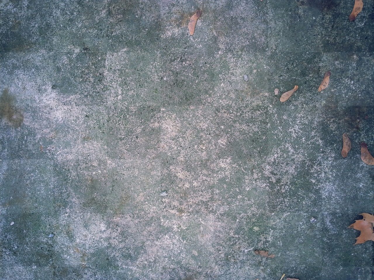 Download Stunning Stone Textures and Natural Backgrounds for Free!