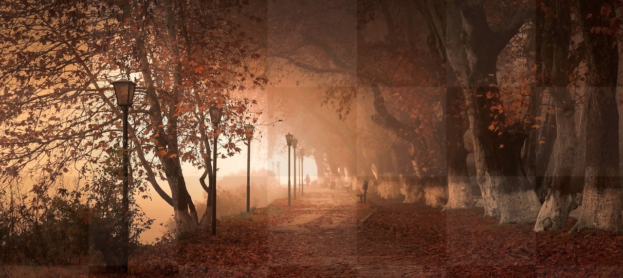 Explore the Enchanting World of Autumn Fantasy Forest with Stunning Images and Wallpapers - Free Download!