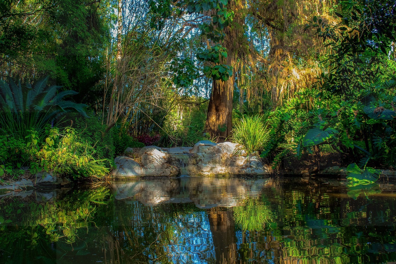 Explore the Serenity of Nature: Download Stunning Green Forest and Pond Images in HD and 4K for Free!