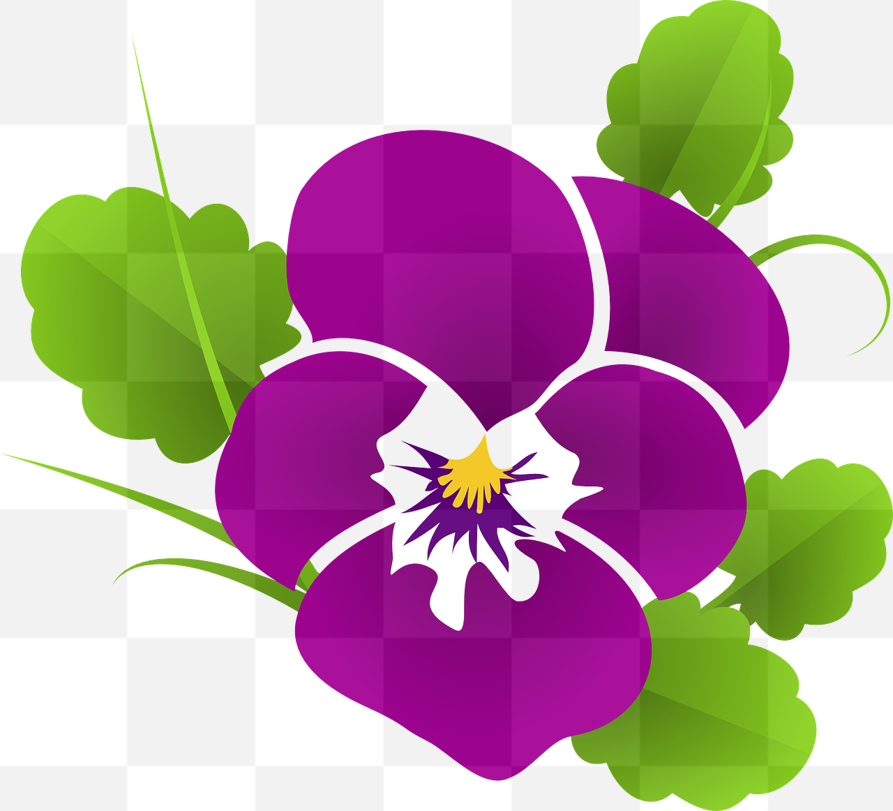 Free Download: Pansy, Violet, and Viola Flower Backgrounds in PNG Format