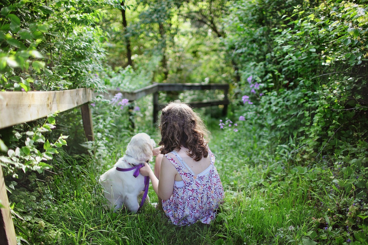 Free Downloadable Child, Dog, and Pet Summer Background Images in JPG Format for Graphic Design, Social Media, and Web Design