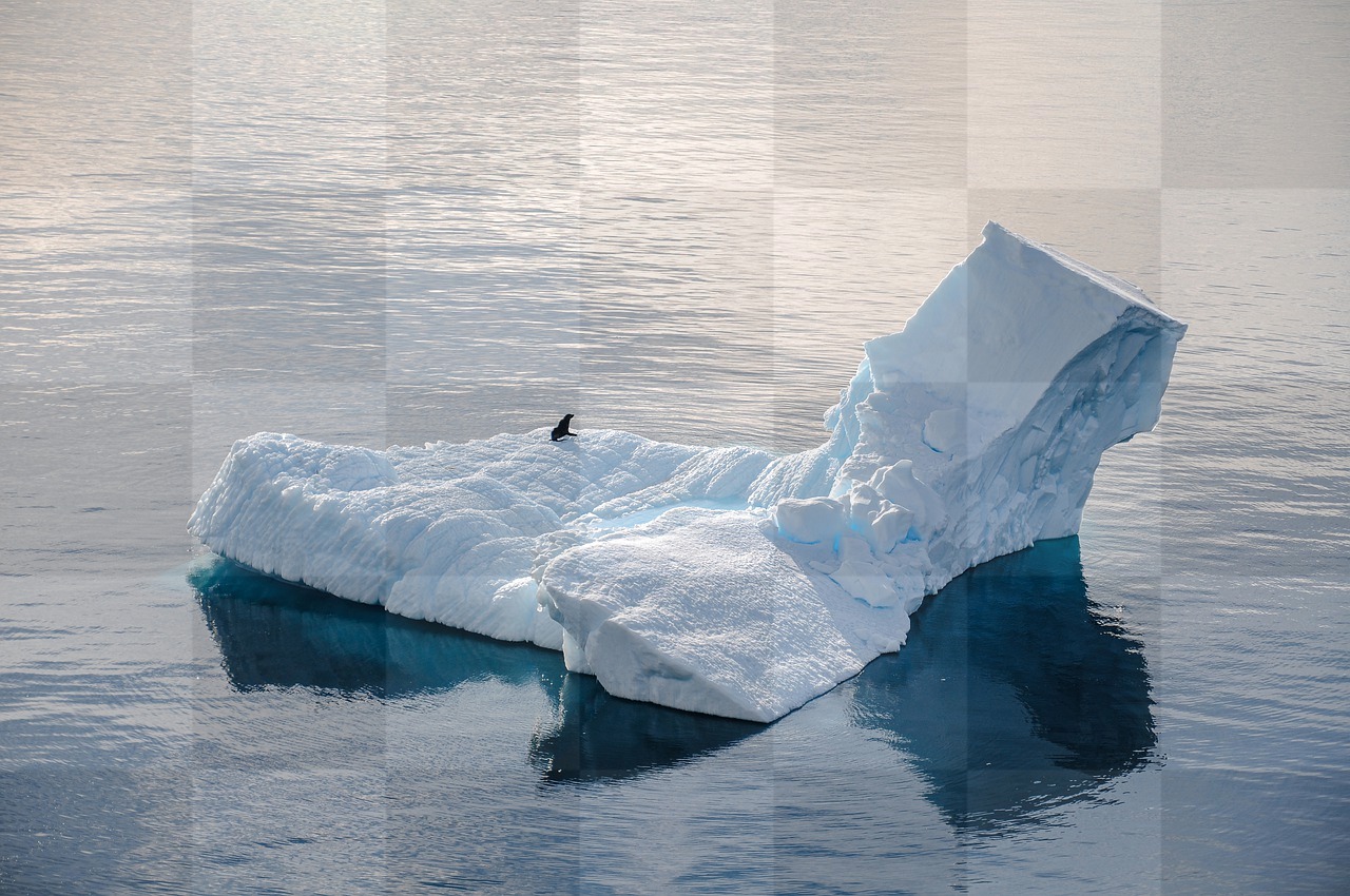 Free Downloadable Ocean Images in HD and 4K: From Antarctica to Beaches and Underwater, Find Stunning Photos of Seals, Icebergs, and More!