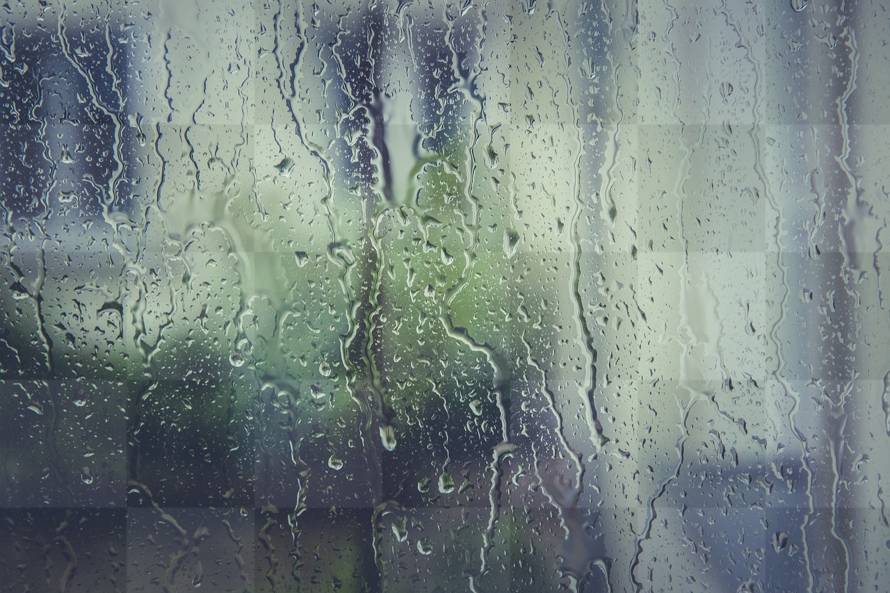 Free Downloadable Rain Stoppers and Beautiful Wallpapers with Water Elements in Popular Styles