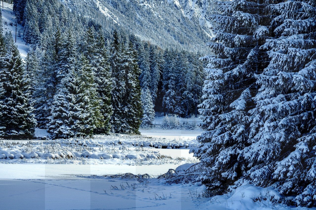 Free Winter Backgrounds in JPG Format for Graphics and Web Design