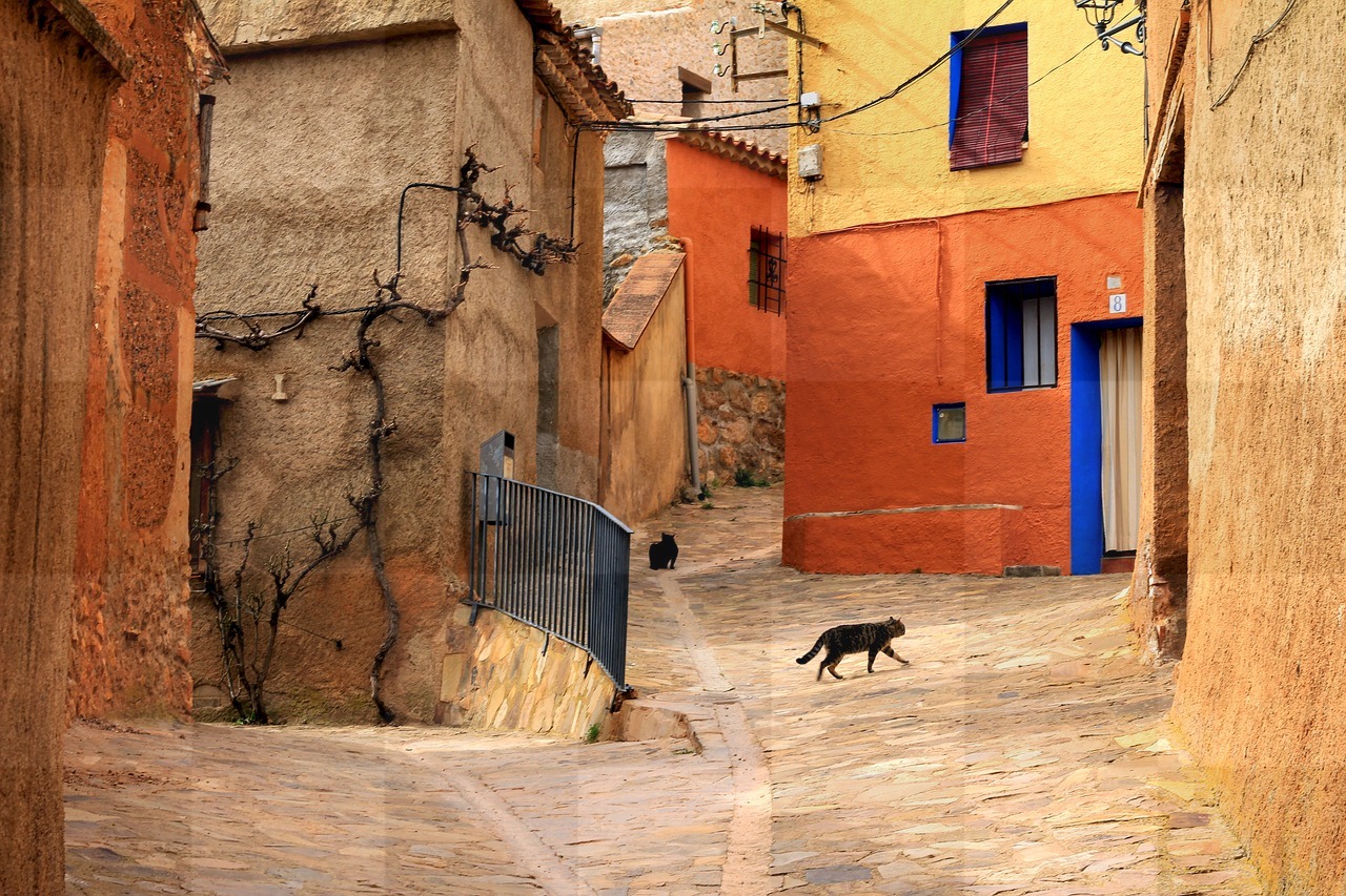 Get Inspired with Free Street, Cat, Rural and City Architecture Background Images in JPG Format