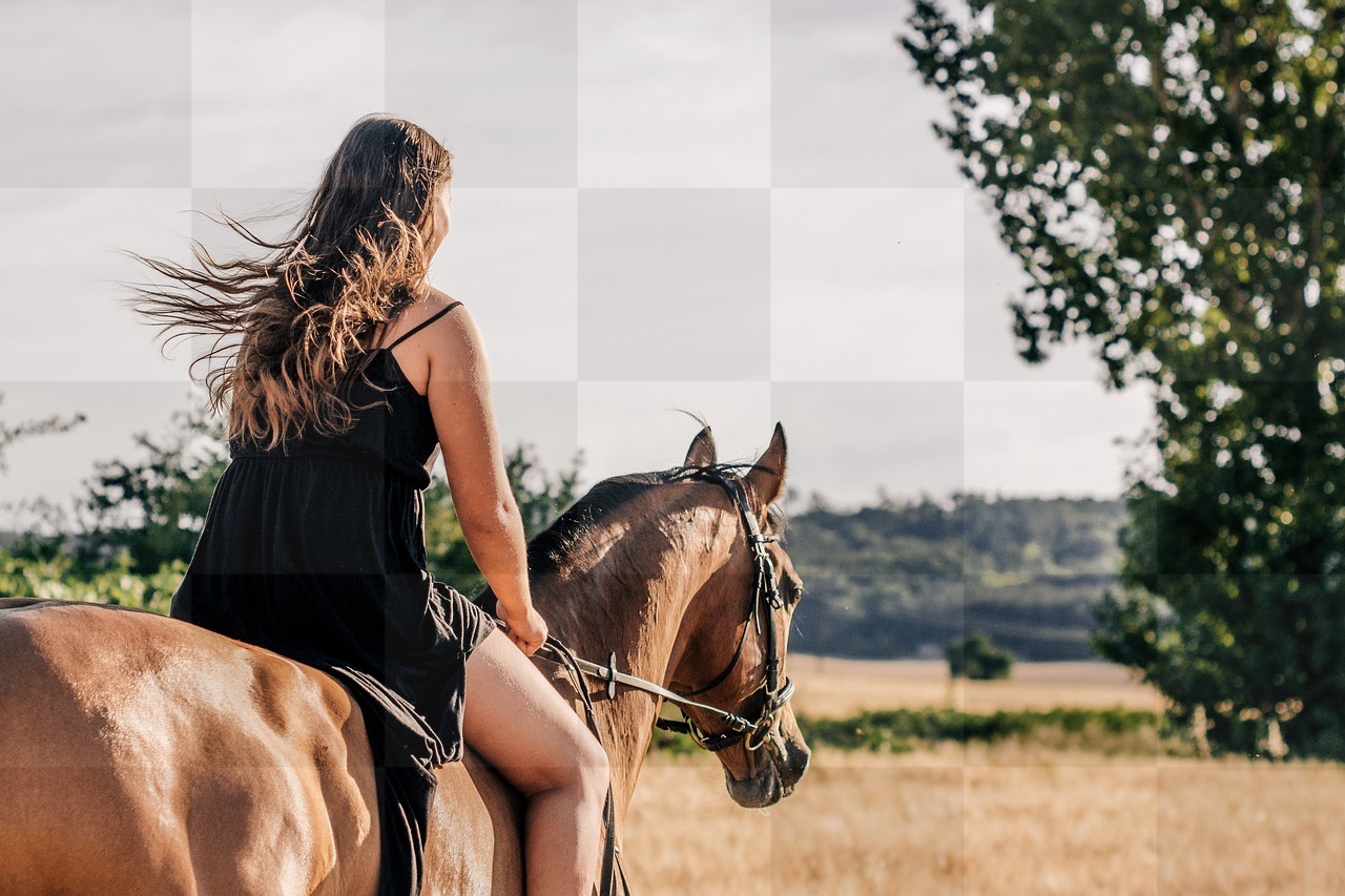 Horseback Riding and Summer Vibes: Free Downloadable Backgrounds for Horse Enthusiasts and Designers Alike