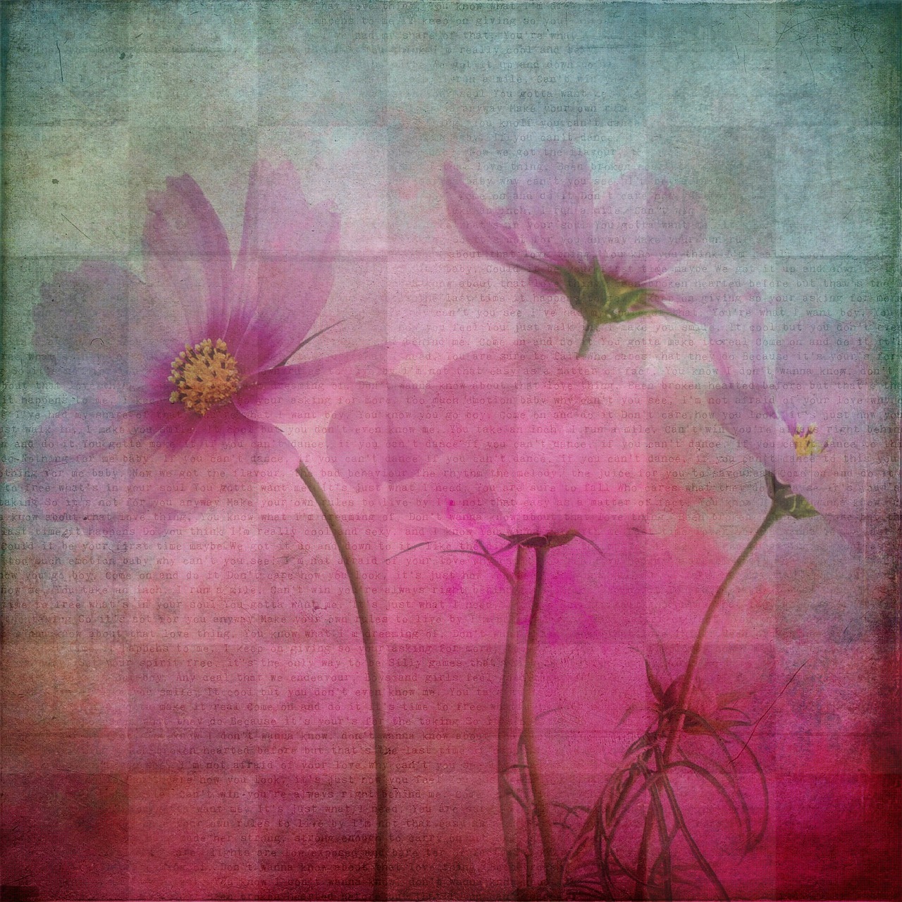 Pink Blossom Textured Backgrounds - Free Download for Graphic Design and Social Media Styling