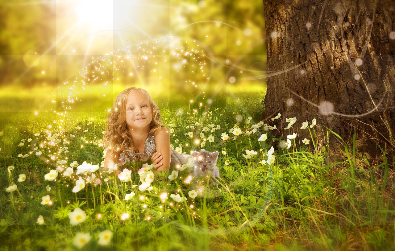 Stunning Flower Images and High-Quality Stock Photos for Free Download: Perfect for Social Media Pages, Graphic Design and More!