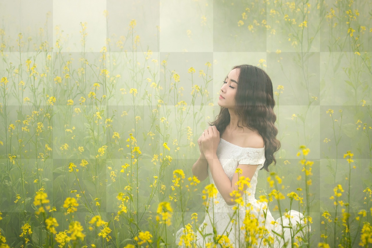 Stunning Flower Wallpapers for Download: HD & 4K Images, Royalty Free with Fog and Beautiful Backgrounds