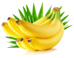 Download Banana Free PNG photo images and clipart. Photos of banana. Banana PNG Images. Banana Stock Photos. 