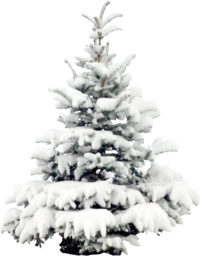 Light Christmas Tree. Free PNG Images With Transparent Background. Merry Christmas and Happy New Year. White Christmas Tree. Free Christmas Tree.
