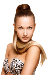 Top Hair Color. Beautiful woman hair. Free PNG. Download PNG Image. The Best Dyed Hair idea. Hair coloring Display advertising. Dyed Hair stock...