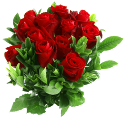  Red roses. PNG image. It’s probably safe to say there’s no more prevalent or enduring symbol of love and beauty in Western culture than red roses. Red rose. Beautiful Rose Flowers. What’s more classically romantic than red roses.