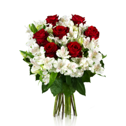 Red Rose Bouquet. Red Roses Bouquet Picture. The best free red roses bouquet images. Download the perfect red roses bouquet pictures. Red roses are perfect for any special occasion from anniversaries to birthdays.