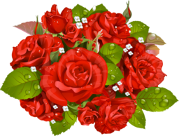 Red Roses Bouquet stock photos, pictures and royalty-free images from Qwestore. Red Roses Bouquet Picture. Red Rose Bouquet.
