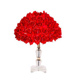 Red Rose Bouquet. Red Roses Bouquet Picture. Red Roses Bouquet stock photos, pictures and royalty-free images from Qwestore.