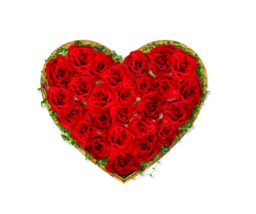 Red Roses Bouquet Picture. Red Roses Bouquet stock photos, pictures and royalty-free images from Qwestore. Red Rose Bouquet.