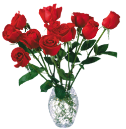 Red Roses Bouquet stock photos, pictures and royalty-free images from Qwestore. Red Roses Bouquet Picture. Red Rose Bouquet.