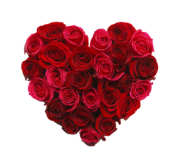 Red Rose Heart PNG Image. Download Red rose heart stock image in HD and millions of other royalty-free stock photos, illustrations and vectors in the Qwestore collection. Love and passion. Heart Shaped Rose Picture. Red Roses.