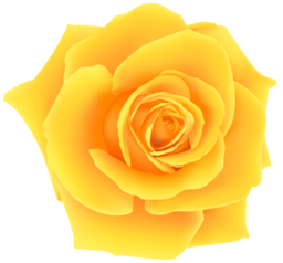 Single Yellow Rose PNG | Free PNG Image