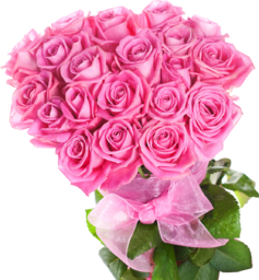 Free PNG Images With Transparent Background. Free PNG image. Pink Roses Bouquet stock photos, pictures and royalty-free images from Qwestore. The history of pink roses begins around 35 million years ago, when the first trace of a rose was found in fossils. Download PNG image.