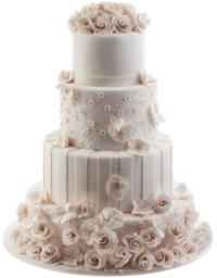 Delicate wedding cake. Simple Homemade Wedding Cake. Beautiful Wedding Cake PNG. Gentle wedding cake. Free PNG Image With Transparent Background. The best PNG. Vanilla cake. Vanilla cake is a crowd-pleaser and a popular choice for many wedding cakes. Vanilla wedding cake.