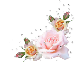 Wedding invitation. Your wedding day will come and go, but may your love forever grow. Flower, Rose, Pink. Happy wedding day. The best PNG. Flower...