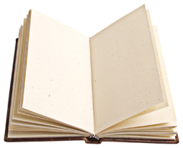 Blank Book. Free PNG image. Transparent Background PNG Image. Unwritten Stories. Transparent Background Image of an Open Book with Blank Pages. Blank Canvas of an Open Book. Blank Pages of an Open Book.