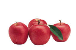 The Perfect Autumn Snack: Red Apples on a Transparent Background