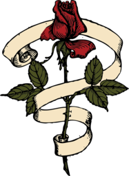 Stunning Red Rose PNG Images with Transparent Background: Perfect for Graphic Design and Advertising