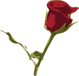 Stunning Red Rose Images with Transparent Background for Graphic Designers - Free PNG Downloads