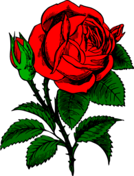 Stunning Rose Bouquet PNG Images for Your Graphic Designs: Download for Free