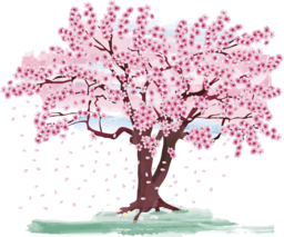Discover the Beauty of Cherry Blossom Trees in Spring with Vibrant PNG Images for Graphic Design and Advertising