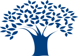 Explore Our Stunning Collection of Tree PNG Images with Transparent Backgrounds for Your Next Design Project