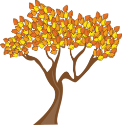 Stunning Autumn Tree PNG Images with Transparent Background for Graphic Design - Free Download