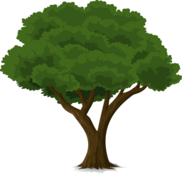 Explore a Stunning Collection of Tree and Forest Vector PNG Images with Transparent Background - Perfect for Graphic Design and Advertising Projects!