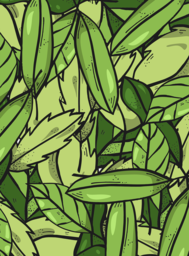 Download High-Quality Tree and Foliage PNG Images with Transparent Background for Graphic Design