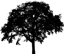 Stunning Tree and Bush Images with Transparent Backgrounds - Perfect for Graphic Design and Advertising!