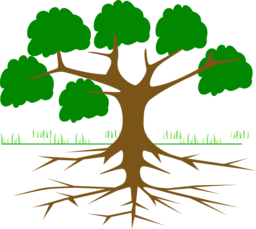 Explore a variety of high-quality vector Tree PNG images with transparent backgrounds - perfect for graphics, banners and advertising!