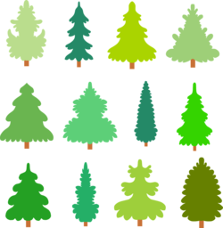 Stunning Tree PNG Images with Transparent Background - Perfect for Graphic Design and Advertising