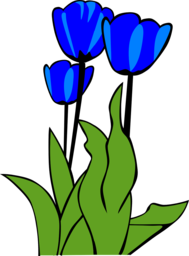 Vibrant Tulip Images for Stunning Graphic Design: Free PNG Downloads with Transparent Backgrounds